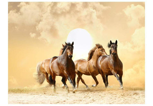 Wall Mural - Running Paarden 400x309cm - Non-Woven Murals