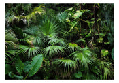 Wall Mural - Sunny Jungle 100x70cm - Non-Woven Murals