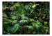 Wall Mural - Sunny Jungle 300x210cm - Non-Woven Murals