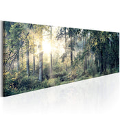 Canvas Print Morning Magic 120x40cm