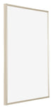 Annecy Plastic Photo Frame 18x24cm Champagne Front Oblique | Yourdecoration.com