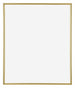 Annecy Plastic Photo Frame 20x25cm Gold Front | Yourdecoration.com