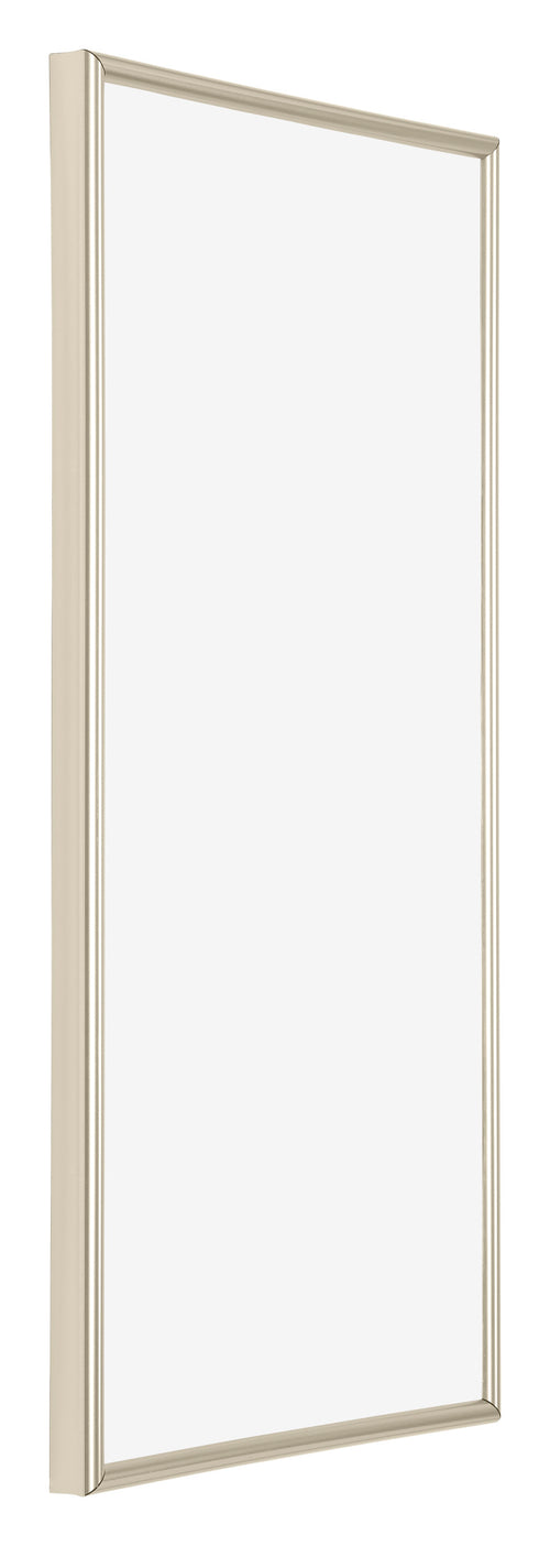 Annecy Plastic Photo Frame 20x40cm Champagne Front Oblique | Yourdecoration.com