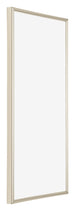 Annecy Plastic Photo Frame 20x40cm Champagne Front Oblique | Yourdecoration.com