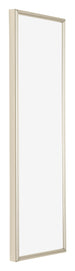 Annecy Plastic Photo Frame 20x60cm Champagne Front Oblique | Yourdecoration.com