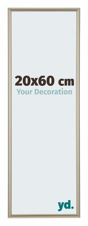 Annecy Plastic Photo Frame 20x60cm Champagne Front Size | Yourdecoration.com