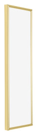 Annecy Plastic Photo Frame 20x60cm Gold Front Oblique | Yourdecoration.com