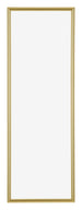 Annecy Plastic Photo Frame 20x60cm Gold Front | Yourdecoration.com