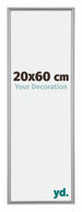 Annecy Plastic Photo Frame 20x60cm Silver Front Size | Yourdecoration.com