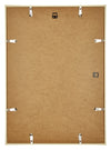 Annecy Plastic Photo Frame 29 7x42cm A3 Gold Back | Yourdecoration.com