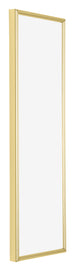 Annecy Plastic Photo Frame 33x98cm Gold Front Oblique | Yourdecoration.com