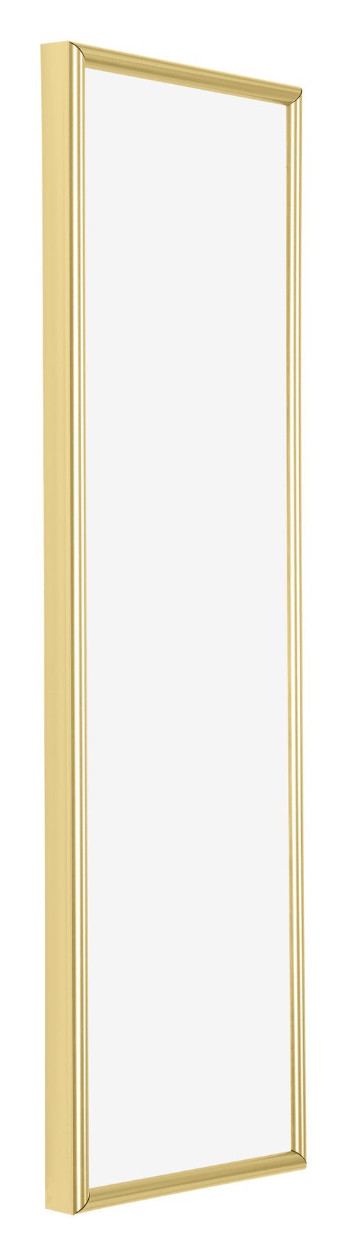 Annecy Plastic Photo Frame 33x98cm Gold Front Oblique | Yourdecoration.com