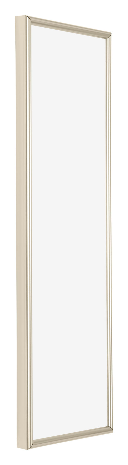 Annecy Plastic Photo Frame 37 5x98cm Champagne Front Oblique | Yourdecoration.com