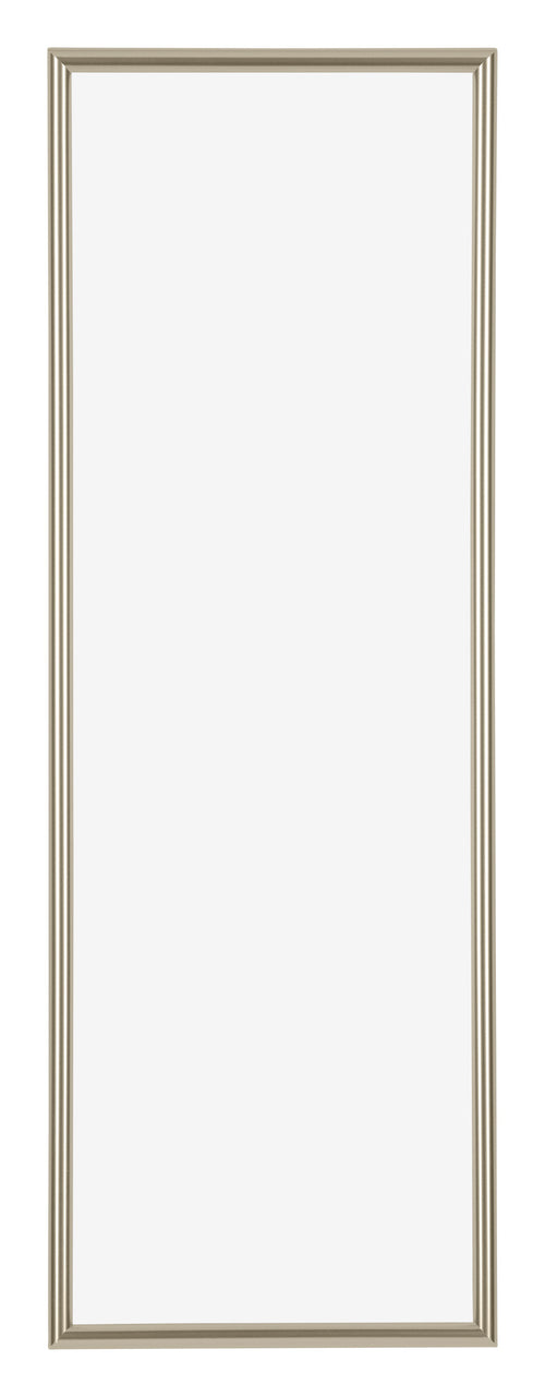 Annecy Plastic Photo Frame 37 5x98cm Champagne Front | Yourdecoration.com