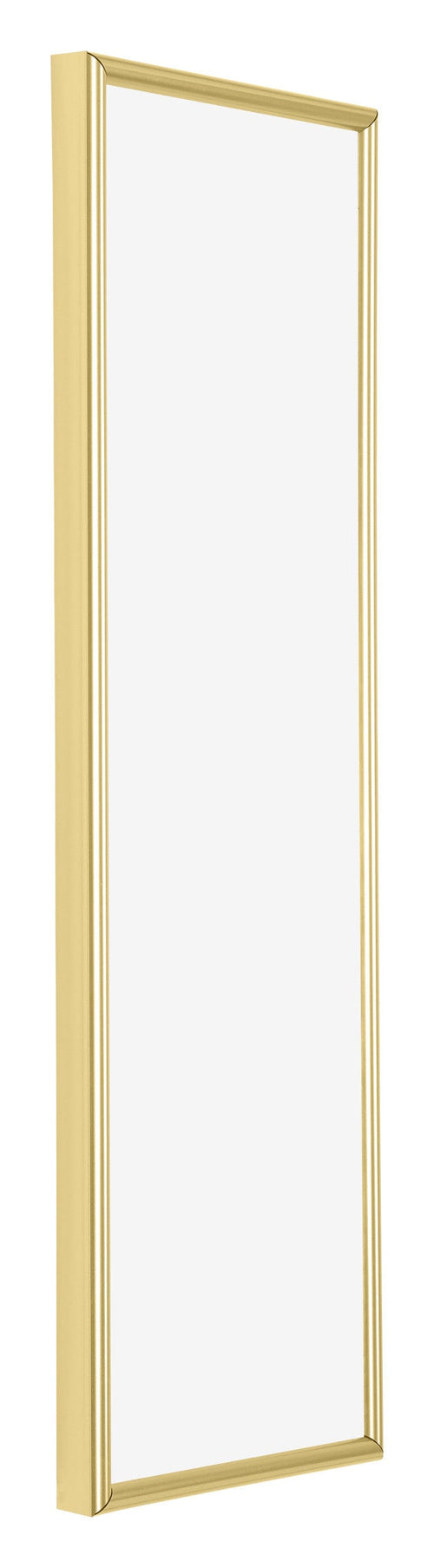 Annecy Plastic Photo Frame 37 5x98cm Gold Front Oblique | Yourdecoration.com