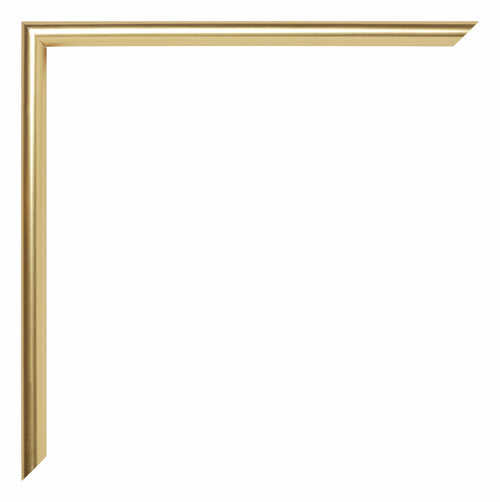 Annecy Plastic Photo Frame 60x84cm Gold Detail Corner | Yourdecoration.com