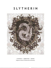 Art Print Harry Potter Slytherin 30x40cm Pyramid PPR54401 | Yourdecoration.com