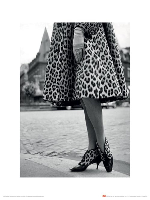 Art Print Time Life Dior Leopard print 30x40cm Pyramid PPR44240 | Yourdecoration.com