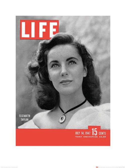 Art Print Time Life Life Cover Elizabeth Taylor 60x80cm Pyramid PPR40203 | Yourdecoration.com