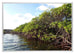 Aurora Aluminium Photo Frame 29 7x42cm A3 Silver Front Photo Landscape | Yourdecoration.com