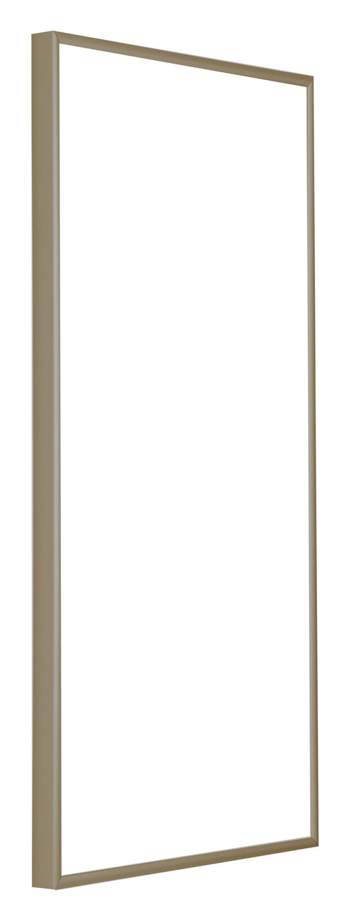 Austin Aluminium Photo Frame 20x40cm Champagne Front Oblique | Yourdecoration.com