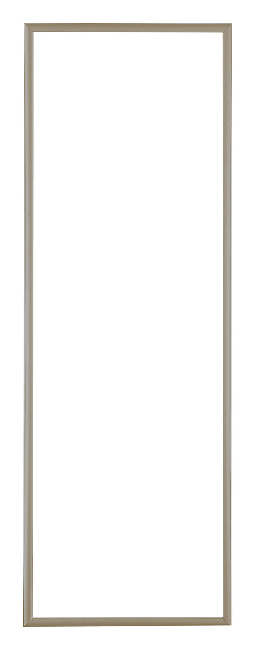 Austin Aluminium Photo Frame 20x60cm Champagne Front | Yourdecoration.com