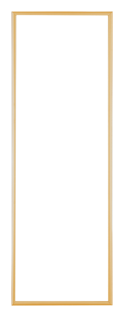 Austin Aluminium Photo Frame 33x98cm Gold Vintage Front | Yourdecoration.com