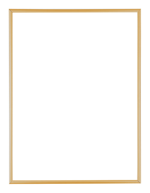 Austin Aluminium Photo Frame 46x61cm Gold Vintage Front | Yourdecoration.com