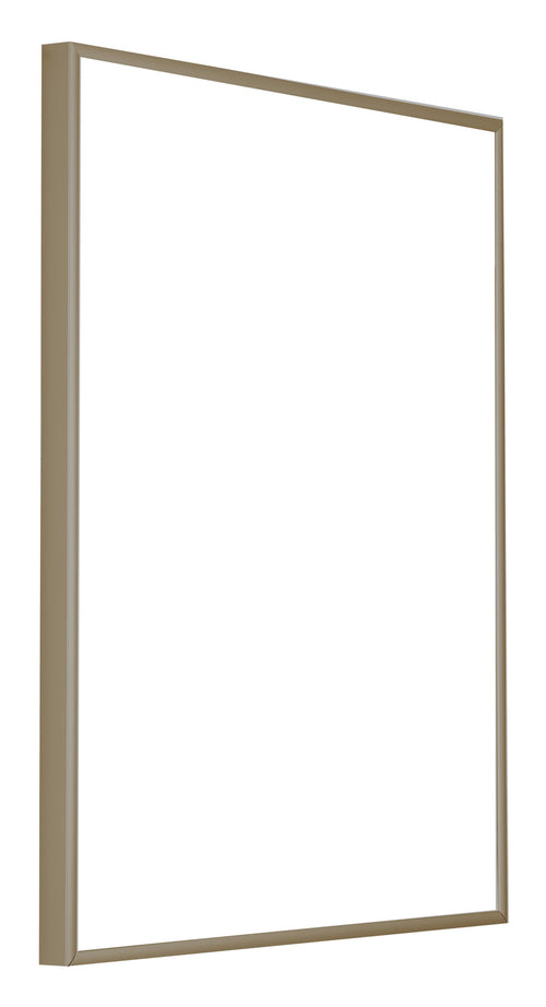 Austin Aluminium Photo Frame 55x65cm Champagne Front Oblique | Yourdecoration.com