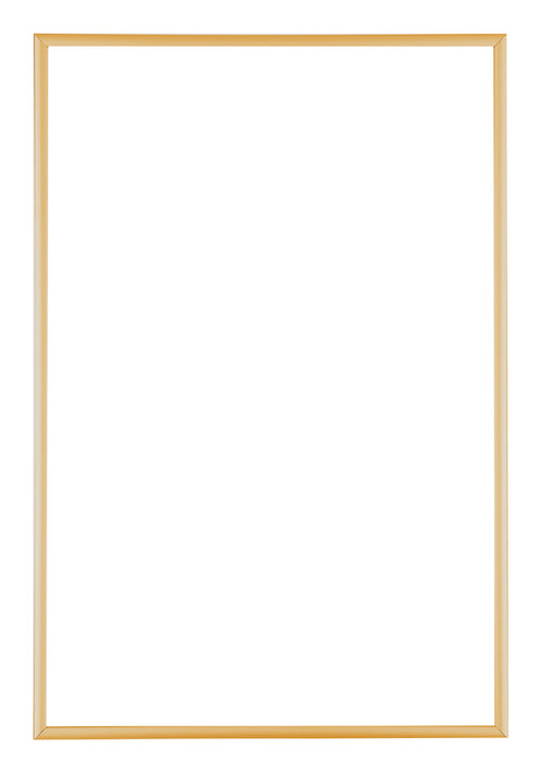 Austin Aluminium Photo Frame 60x85cm Gold Vintage Front | Yourdecoration.com