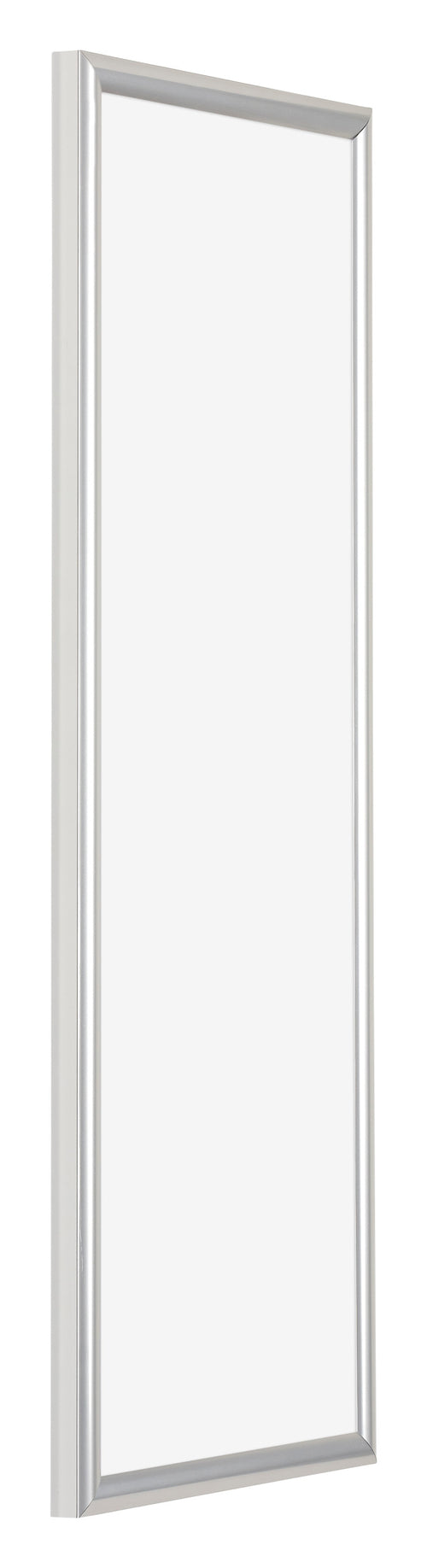 Bordeaux Plastic Photo Frame 37 5x98cm Silver Front Oblique | Yourdecoration.com