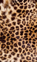 Dimex Leopard Skin Wall Mural 150x250cm 2 Panels | Yourdecoration.com