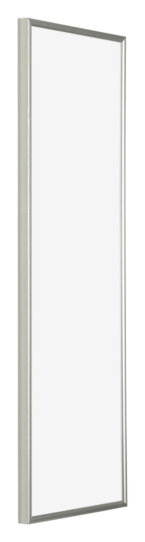 Evry Plastic Photo Frame 20x60cm Champagne Front Oblique | Yourdecoration.com