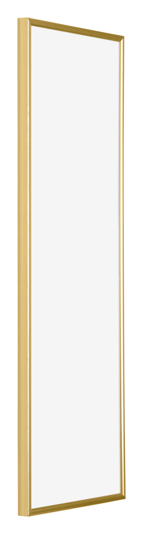 Evry Plastic Photo Frame 20x60cm Gold Front Oblique | Yourdecoration.nl