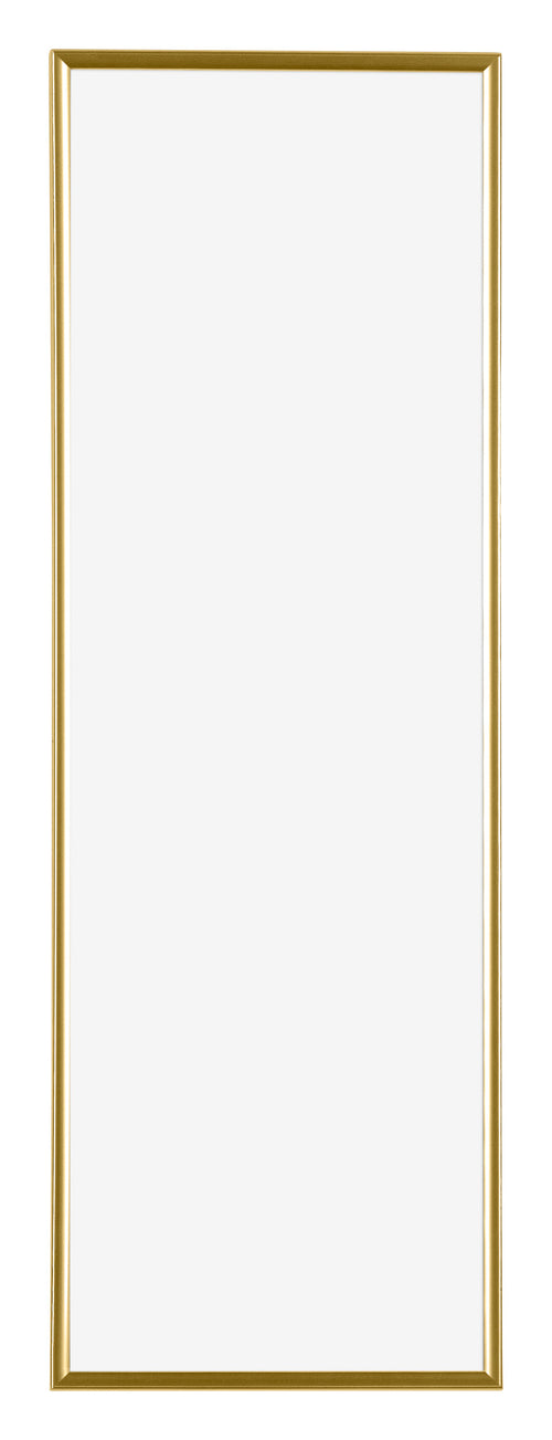 Evry Plastic Photo Frame 20x60cm Gold Front | Yourdecoration.nl