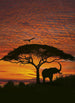 Komar African Sunset Wall Mural National Geographic 194x270cm | Yourdecoration.com