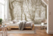 Komar Bleached Birch Non Woven Wall Murals 400x250cm 4 panels Ambiance | Yourdecoration.com