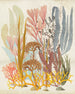 Komar Catchy Corals Non Woven Wall Murals 200x250cm 2 panels | Yourdecoration.com