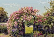 Komar Rose Garden Wall Mural 368x254cm | Yourdecoration.com