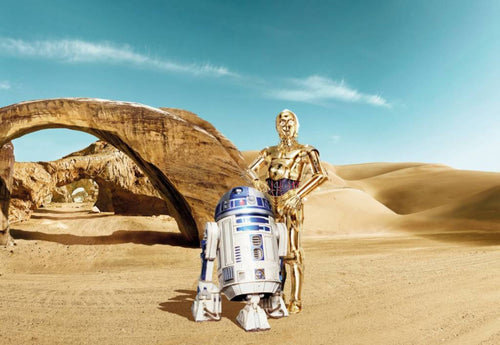 Komar Star Wars Lost Droids Wall Mural 368x254cm | Yourdecoration.com