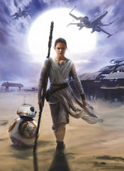 Komar Star Wars Rey Wall Mural 184x254cm | Yourdecoration.com