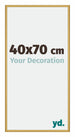 New York Aluminium Photo Frame 40x70cm Gold Shiny Front Size | Yourdecoration.com