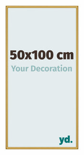 New York Aluminium Photo Frame 50x100cm Gold Shiny Front Size | Yourdecoration.com