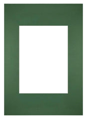 Passe Partout 21x297cm Carton Green Forest Edge Straight Front | Yourdecoration.com