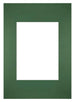 Passe Partout 21x297cm Carton Green Forest Edge Straight Front | Yourdecoration.com