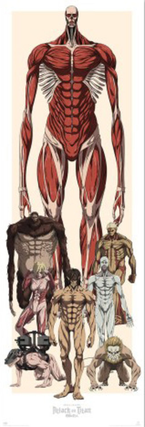 Poster Attack On Titan 53x158cm Grupo Erik PPGE8120 | Yourdecoration.com