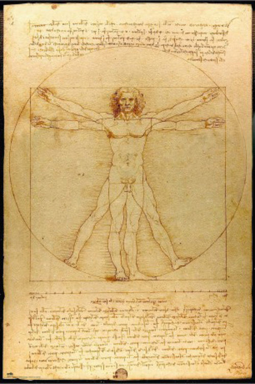 Poster Vitruvian Man 61x91 5cm Grupo Erik GPE5819 | Yourdecoration.com