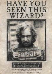 Harry Potter Wanted Sirius Black Poster 61X91 5cm | Yourdecoration.com