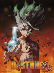 Dr Stone Senku Poster 38X52cm | Yourdecoration.com