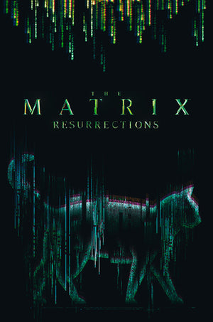 Abystyle Abydco864 The Matrix Cat Poster 61x91,5cm | Yourdecoration.com